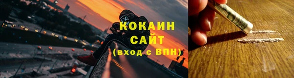 шишки Володарск