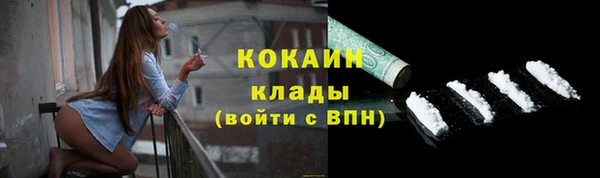 шишки Володарск