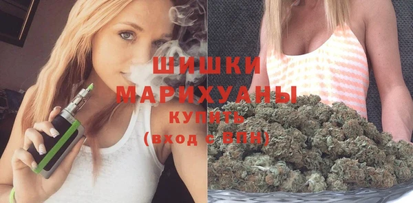 шишки Володарск