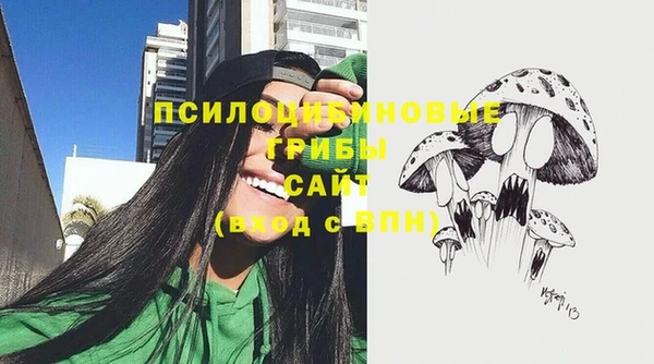 шишки Володарск