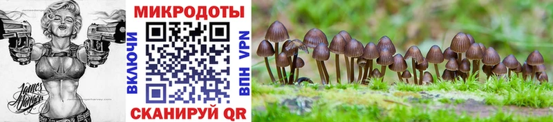 Галлюциногенные грибы Cubensis  Череповец 